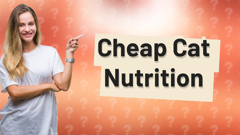 Cheap Cat Nutrition