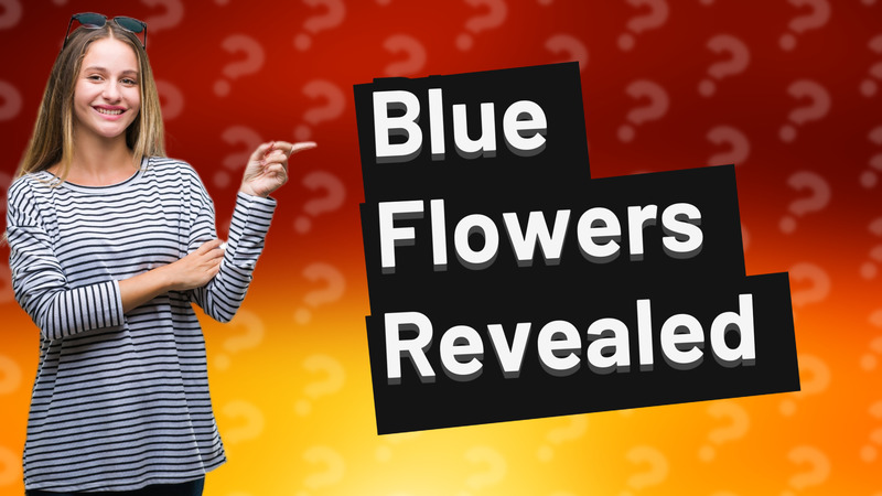 Blue Flowers Revealed
