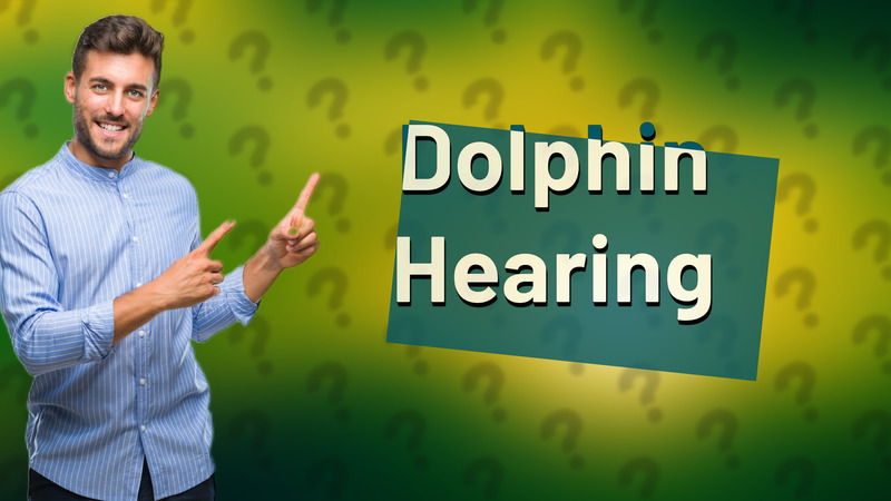 Dolphin Hearing