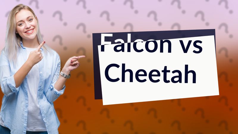 Falcon vs Cheetah