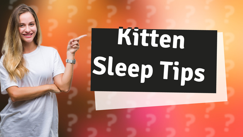 Kitten Sleep Tips
