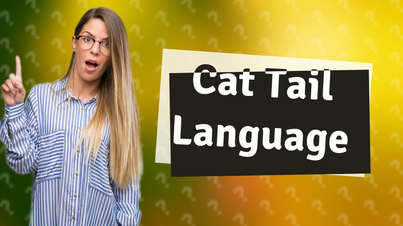 Cat Tail Language
