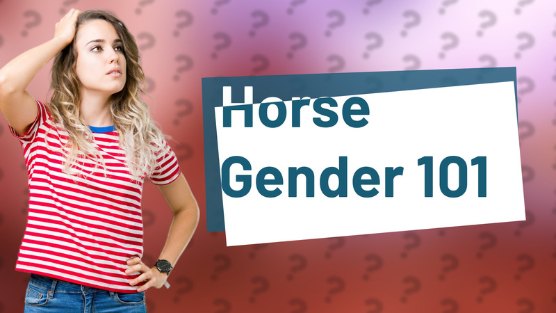 Horse Gender 101