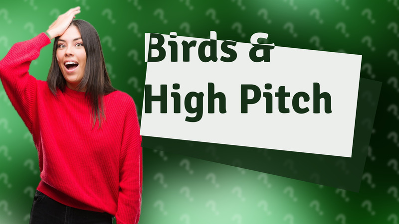 Birds & High Pitch