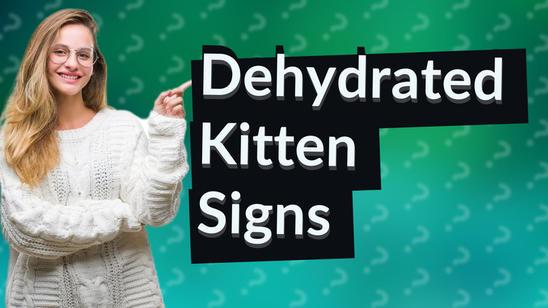 Dehydrated Kitten Signs