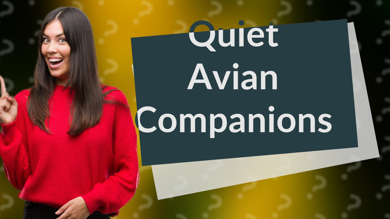 Quiet Avian Companions