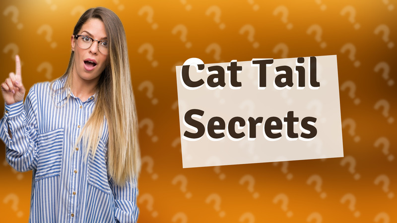 Cat Tail Secrets