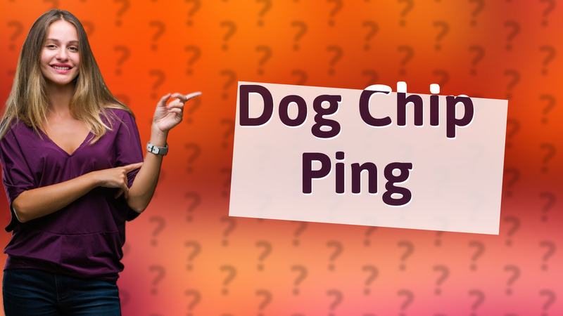 Dog Chip Ping