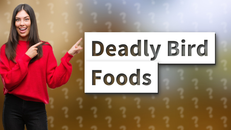 Deadly Bird Foods