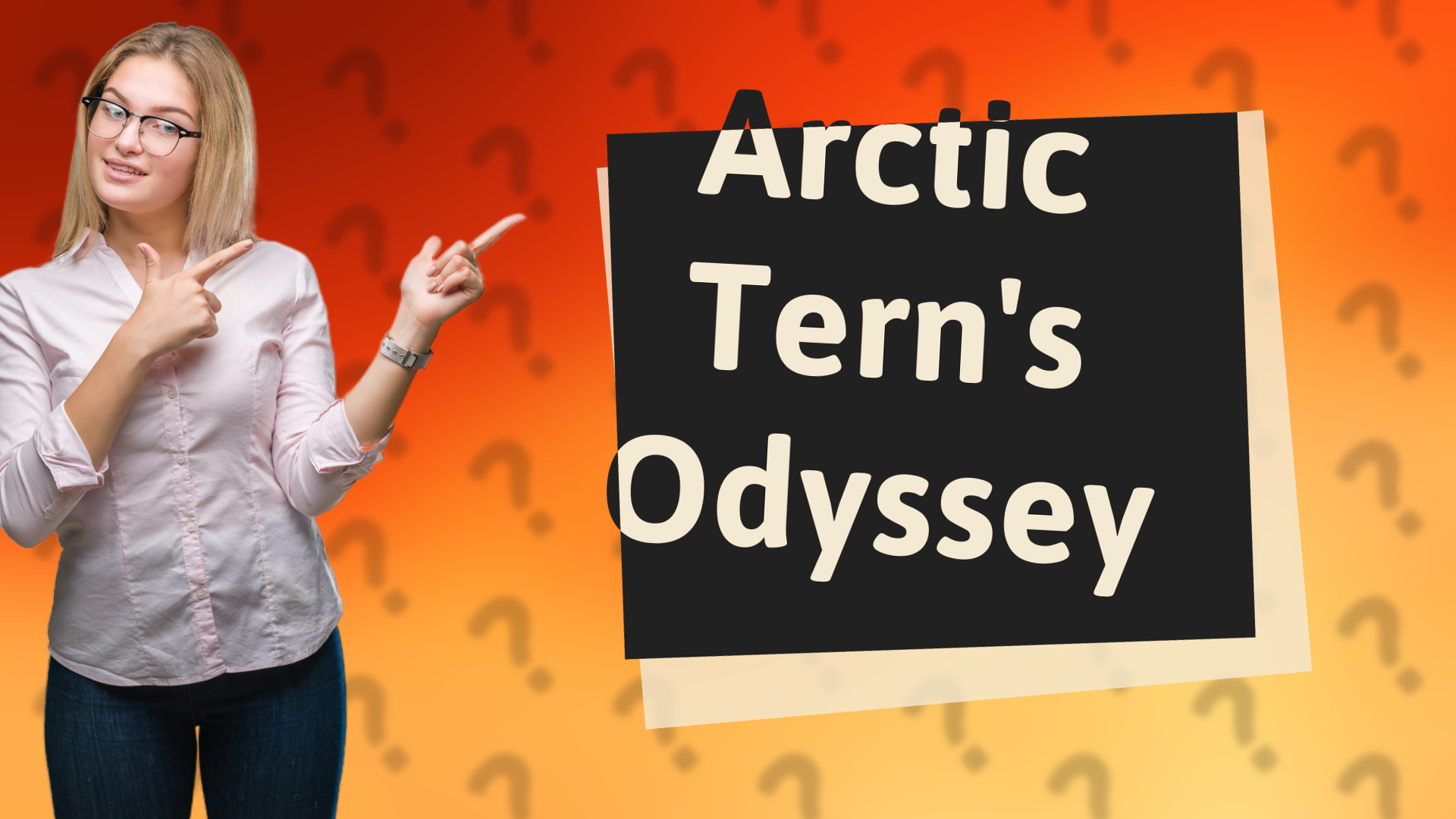 Arctic Tern's Odyssey