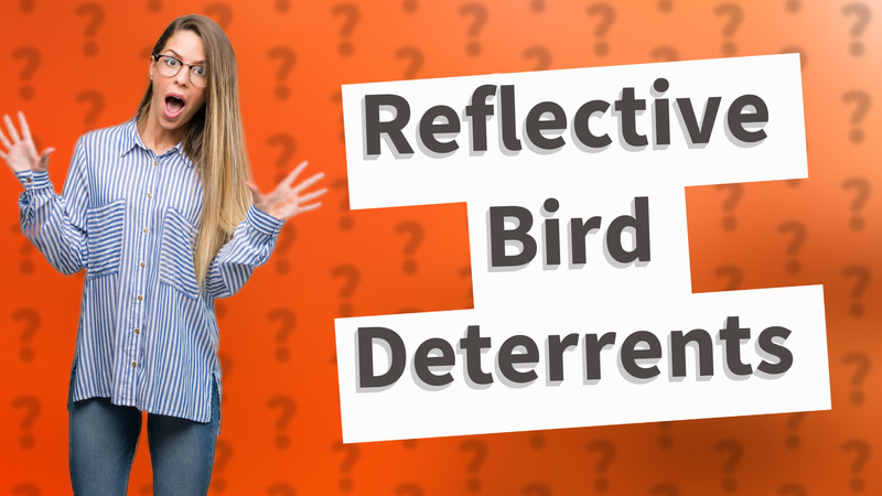 Reflective Bird Deterrents