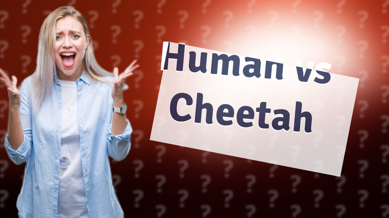 Human vs Cheetah