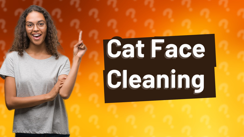 Cat Face Cleaning