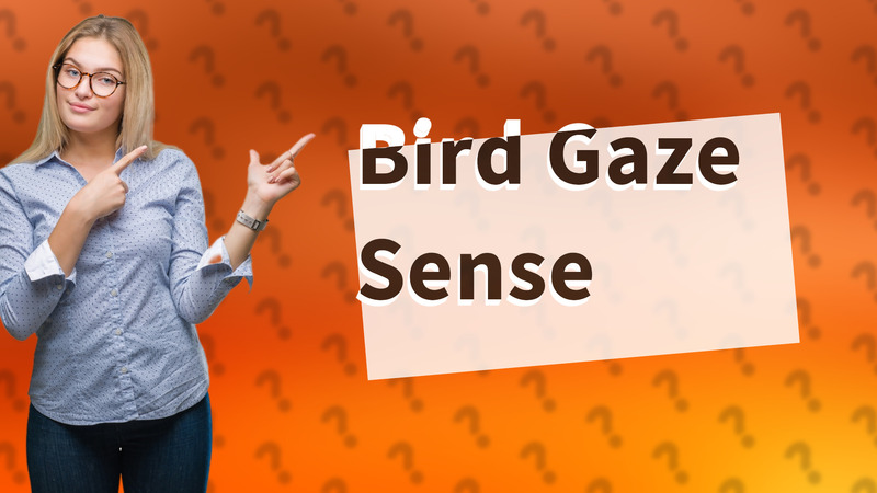 Bird Gaze Sense
