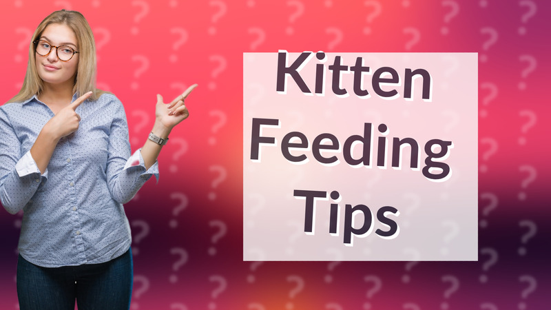 Kitten Feeding Tips