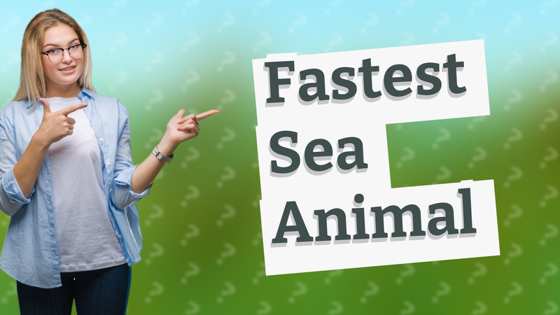 Fastest Sea Animal