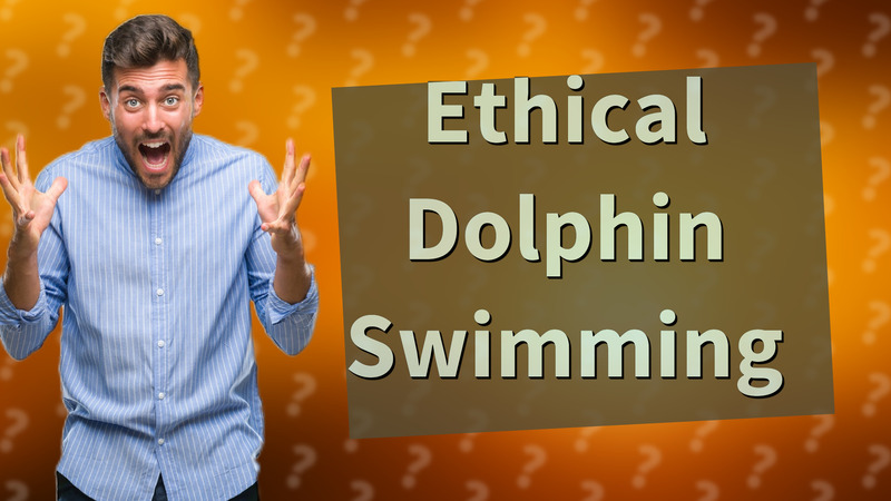 Ethical Dolphin Swimming