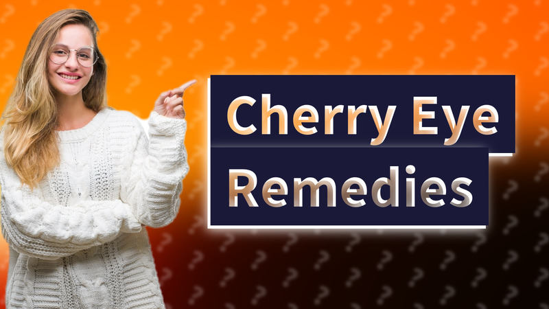 Cherry Eye Remedies