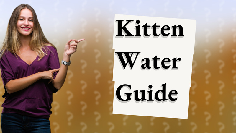 Kitten Water Guide