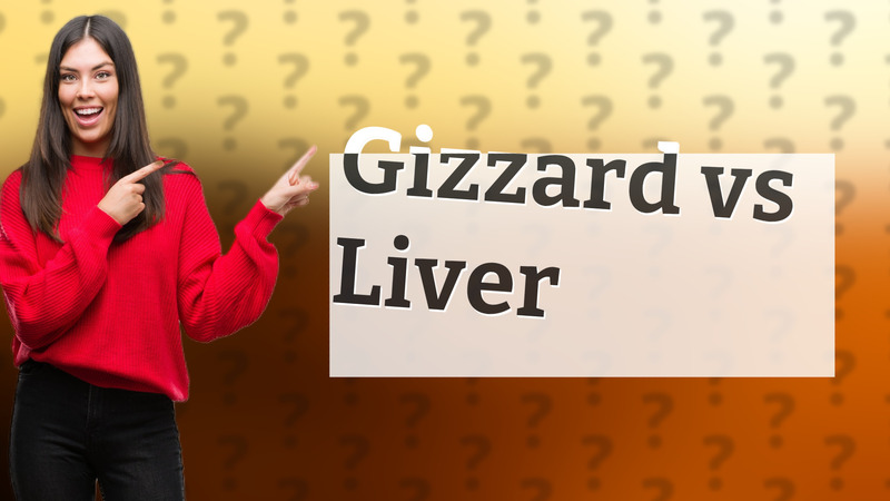Gizzard vs Liver