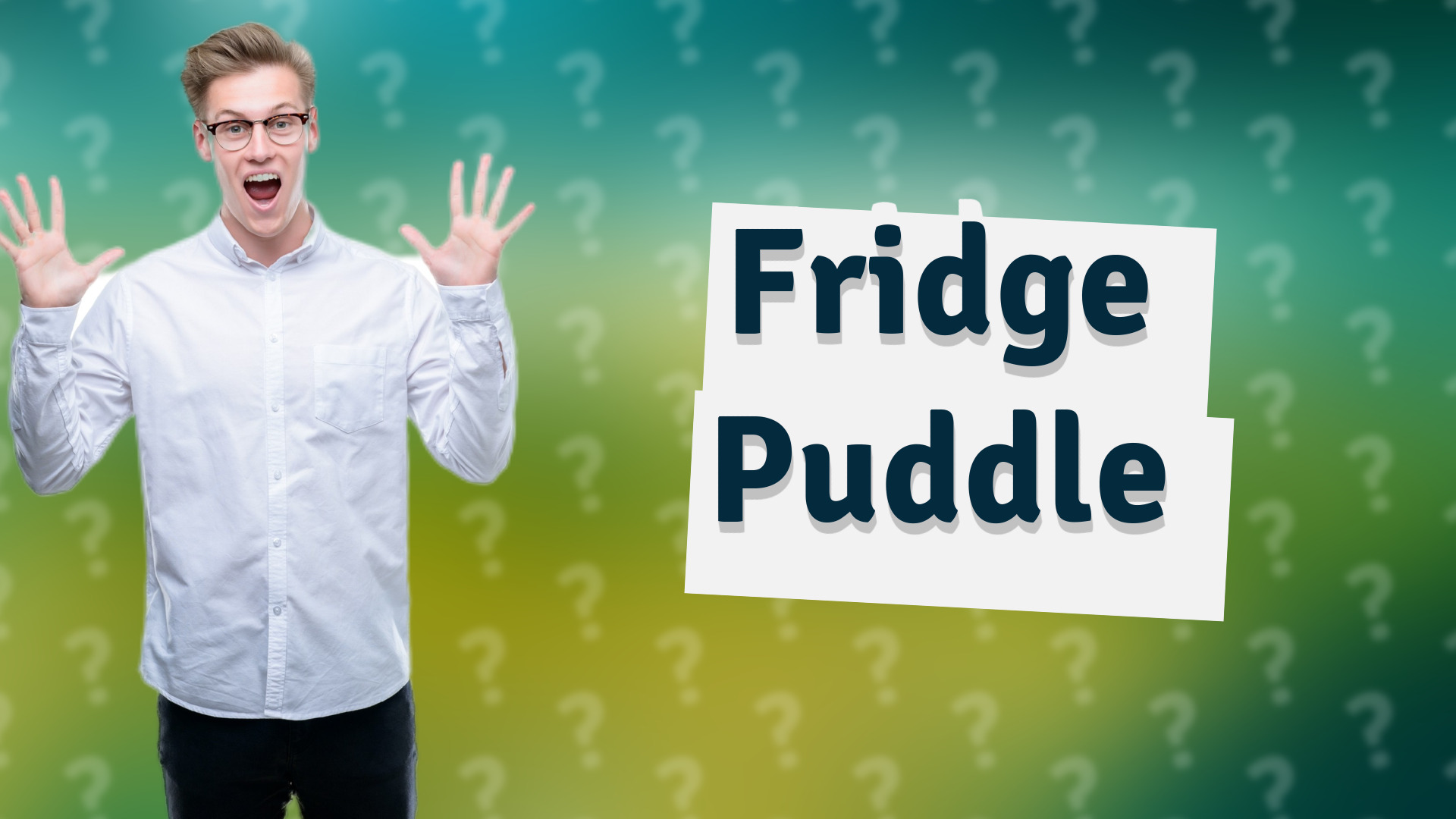 Fridge Puddle