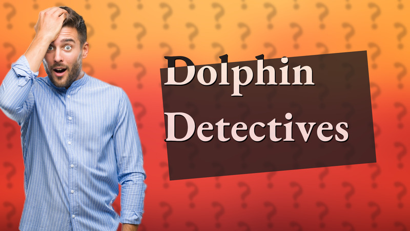 Dolphin Detectives
