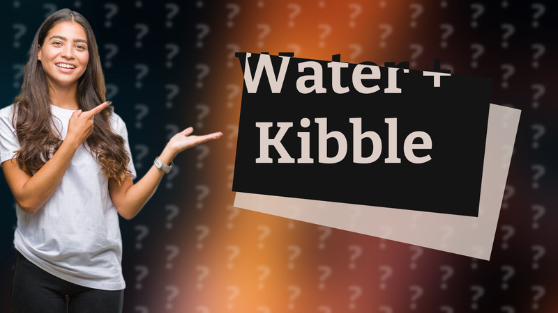 Water + Kibble