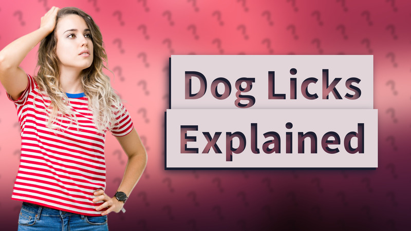 Dog Licks Explained