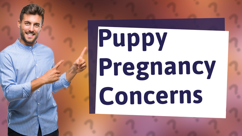 Puppy Pregnancy Concerns