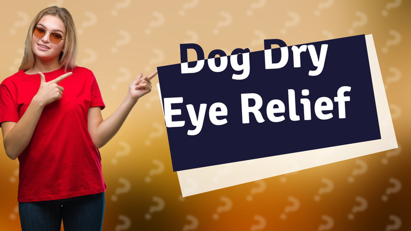 Dog Dry Eye Relief