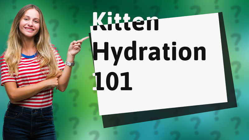 Kitten Hydration 101