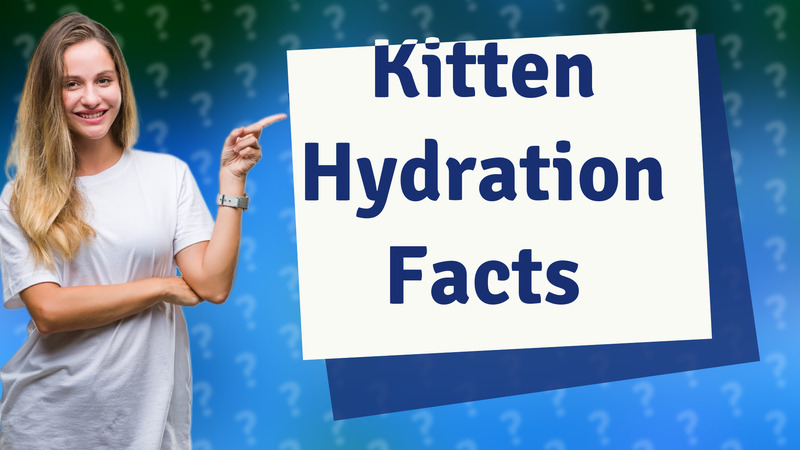 Kitten Hydration Facts
