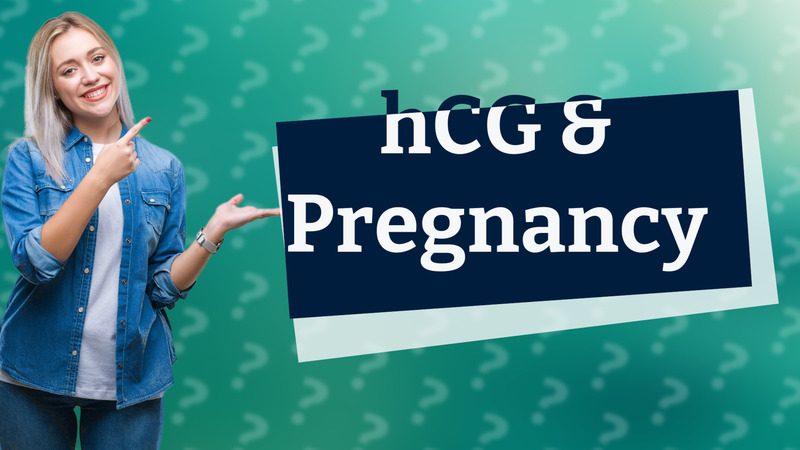 hCG & Pregnancy