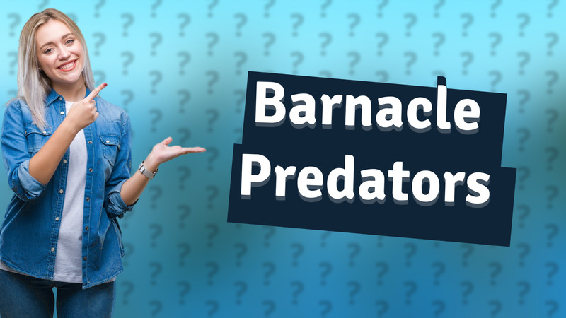 Barnacle Predators