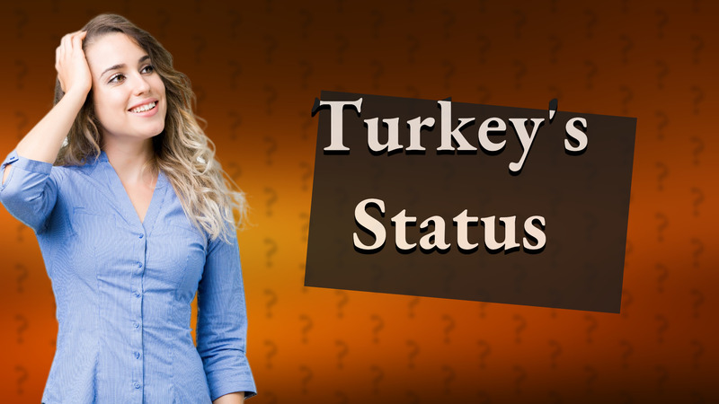 Turkey's Status