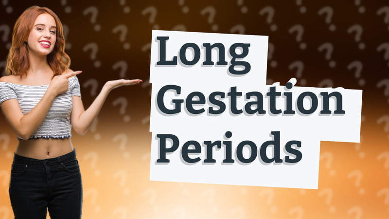 Long Gestation Periods