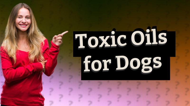 Toxic Oils for Dogs