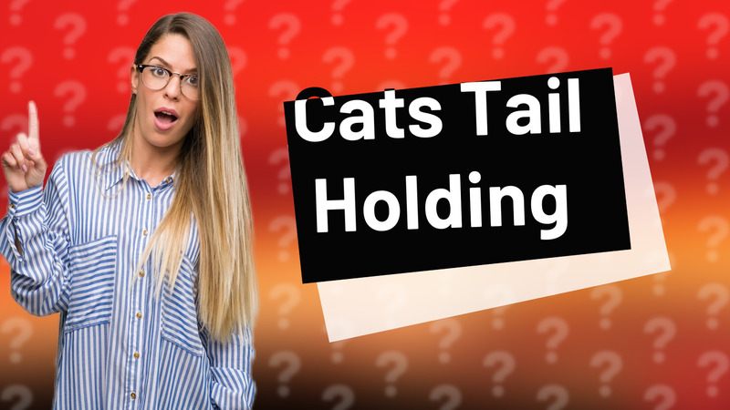 Cats Tail Holding