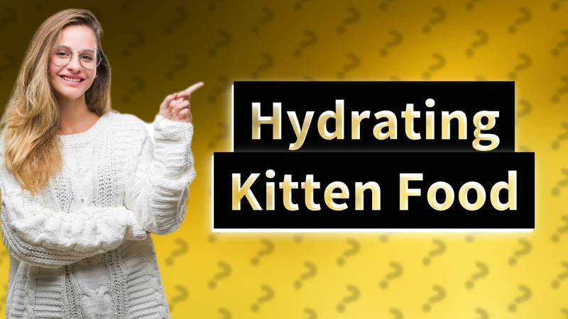 Hydrating Kitten Food