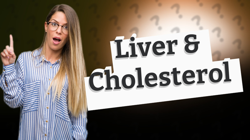 Liver & Cholesterol
