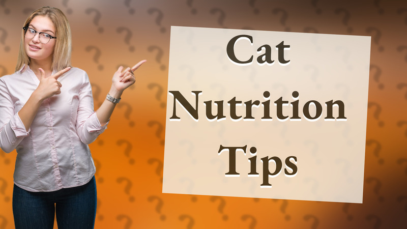 Cat Nutrition Tips