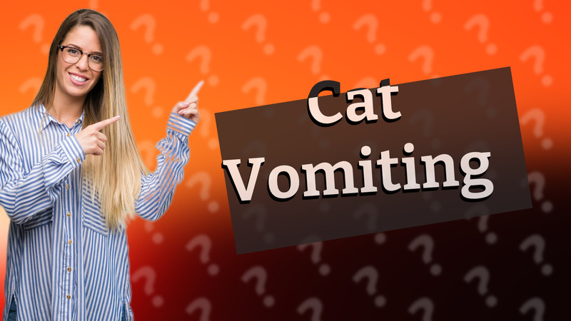Cat Vomiting