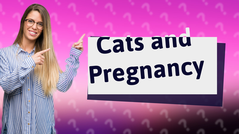 Cats and Pregnancy