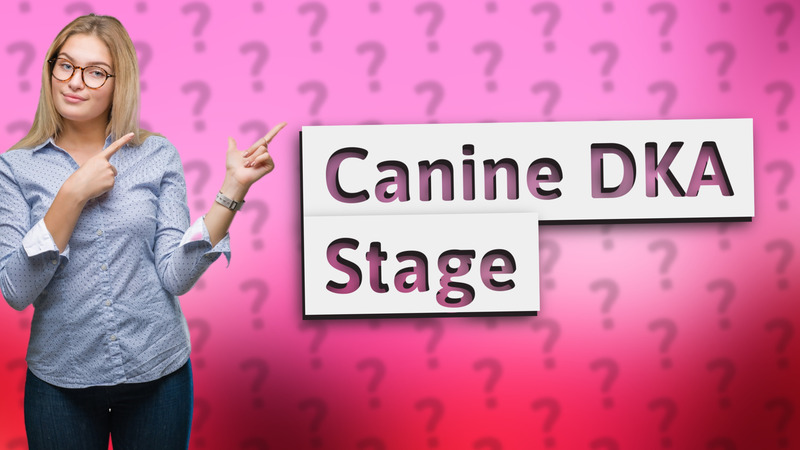 Canine DKA Stage