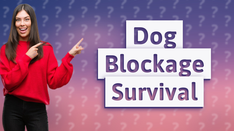 Dog Blockage Survival