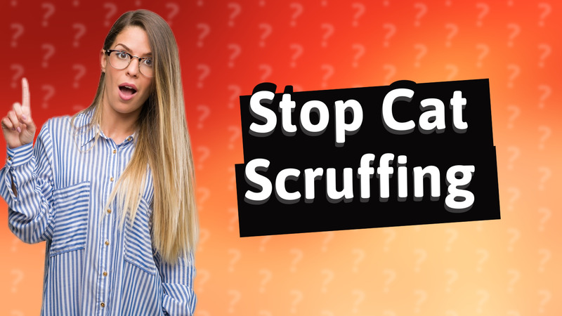 Stop Cat Scruffing