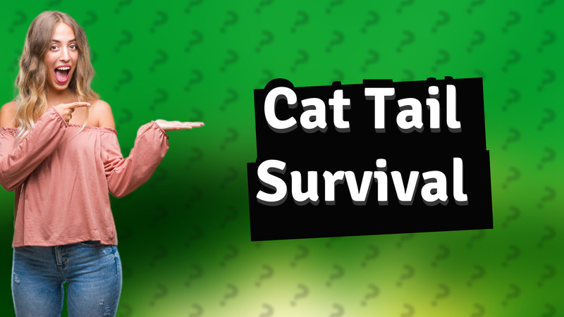 Cat Tail Survival
