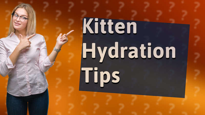 Kitten Hydration Tips