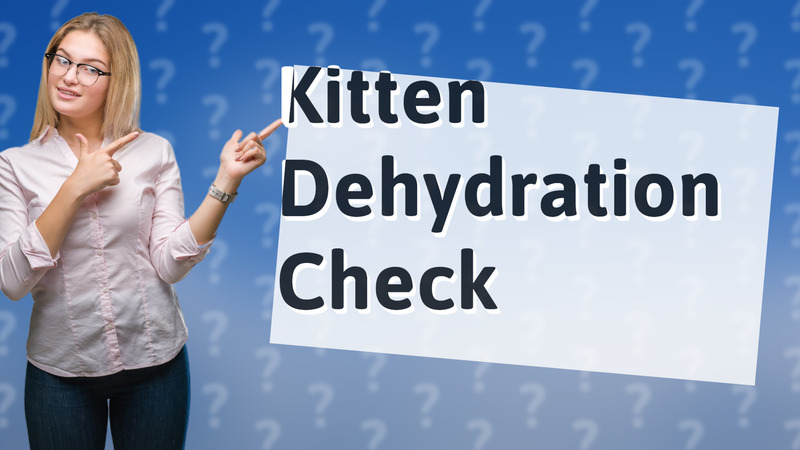 Kitten Dehydration Check