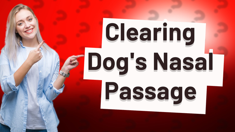 Clearing Dog's Nasal Passage